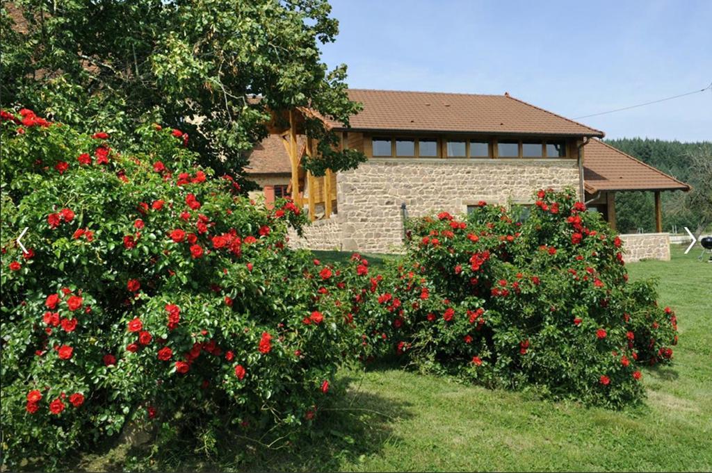 הוילה Ozolles Les Perruchons Ancienne Grange Renovee Avec Soin חדר תמונה